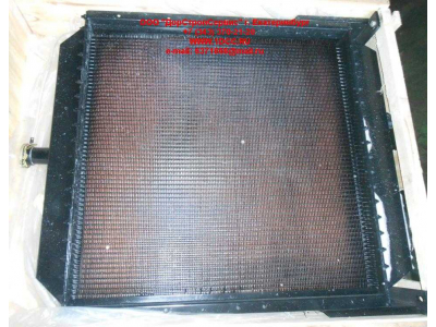 Радиатор охлаждения двигателя CDM 855EK Lonking CDM (СДМ) CDM855EK.01I.04 фото 1 Тюмень