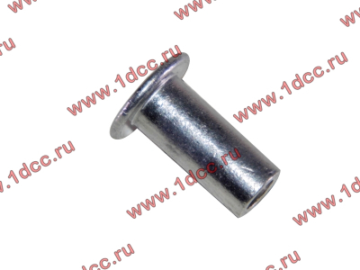 Заклепка алюминиевая 10х24 H2/H3 HOWO (ХОВО) 189000340068 AL фото 1 Тюмень