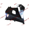 Корпус подножки DF-3251 правый DONG FENG (ДОНГ ФЕНГ) 8405226-C0100-белая для самосвала фото 4 Тюмень